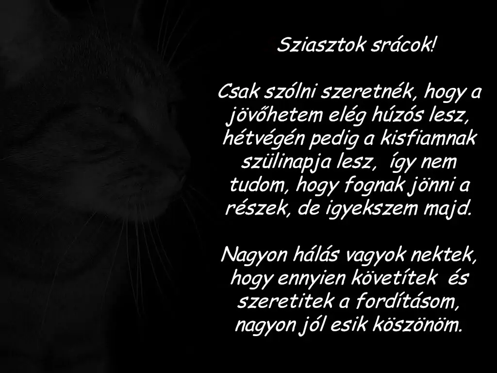 29907281 1024 768 51660